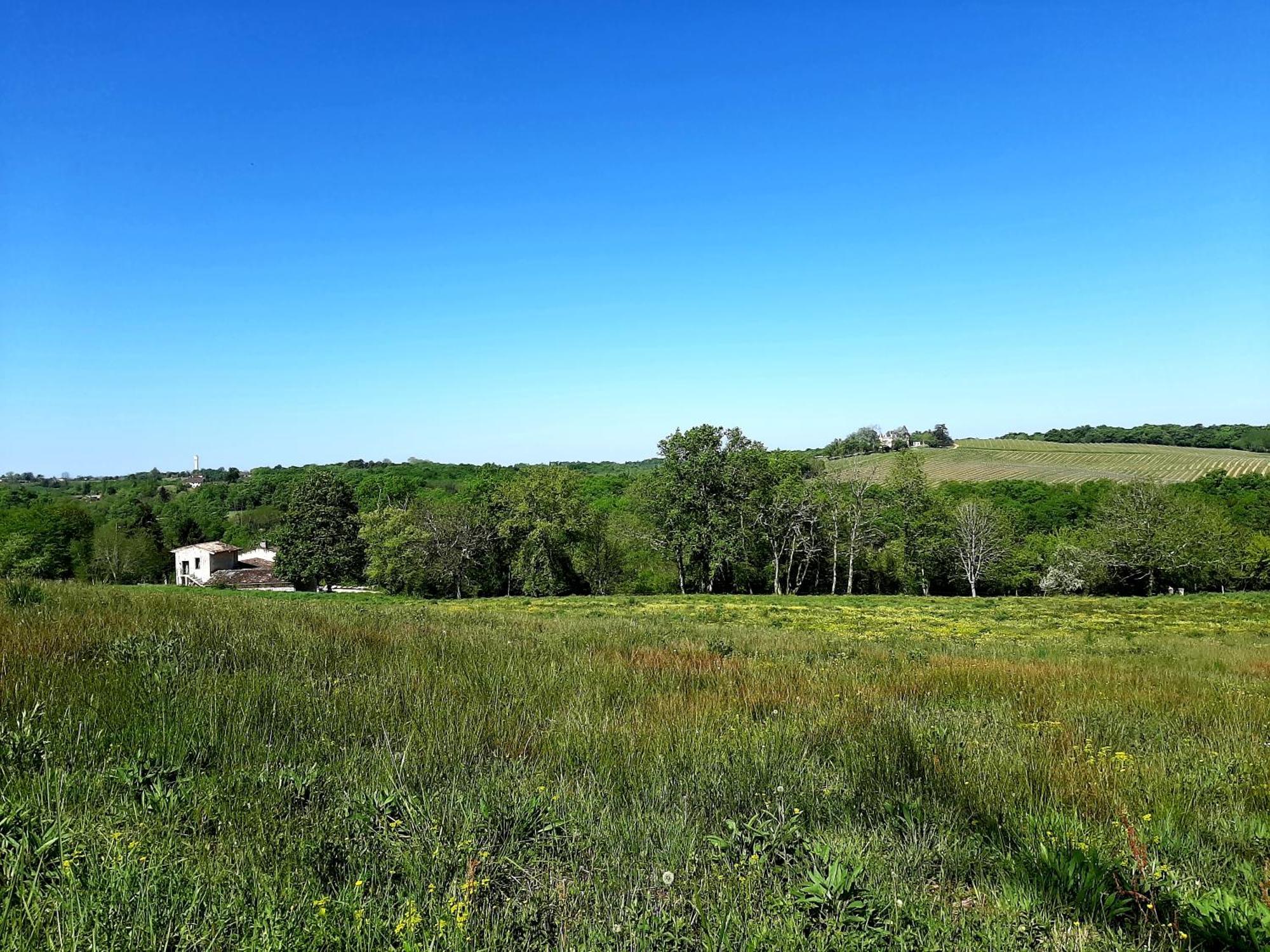 Aux Tuileries Nord B&B Creon Bagian luar foto